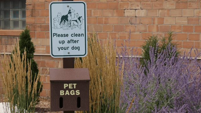 Pet Proof Yard