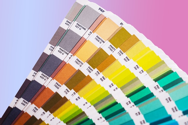 Choose Paint Colors