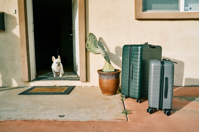 Pet Travel Kit