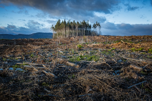 AI in Climate Change