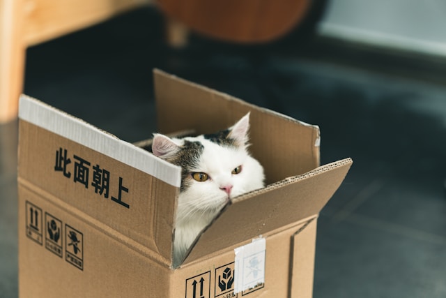 Best Pets Subscription Boxes
