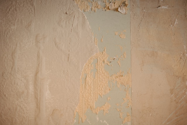 Remove Wallpaper Safely