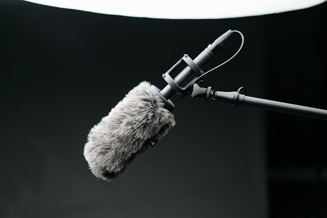 Voice Acting Animation & Games
